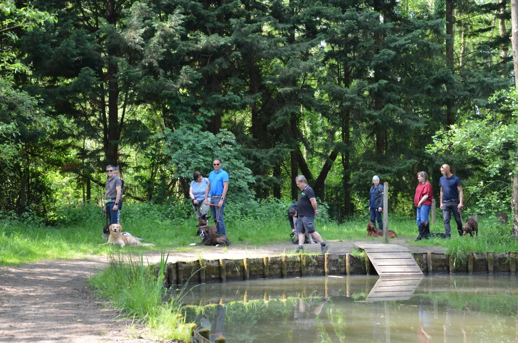 Wandellessen met Donneles
